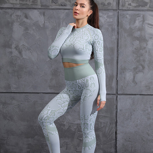 Souples de yoga sans couture Femmes Crop Top Workout Leggings Leopard Print Training Suit Fiess Gym Clothes Tracuit